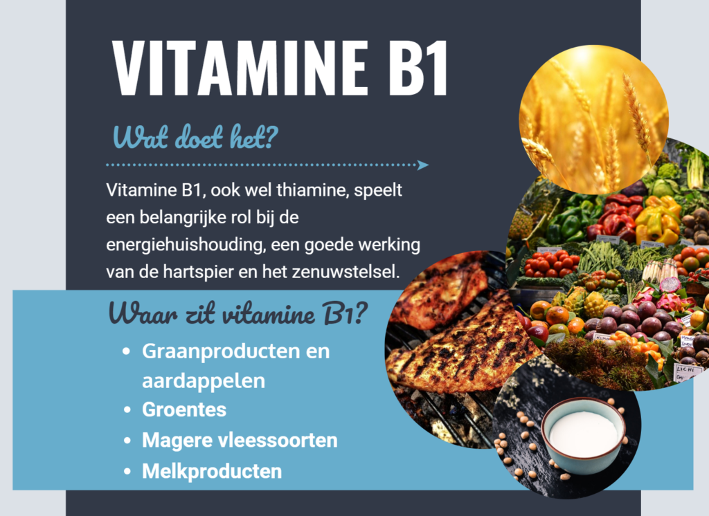 Vitamine B1, wat doet het waar het in? - Personal Health Plan