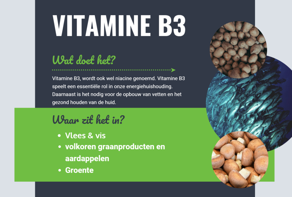 Personal Health Plan Vitamine B3