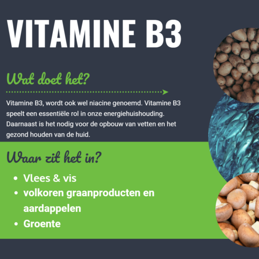 Personal Health Plan Vitamine B3