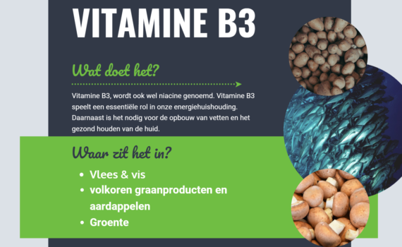 Personal Health Plan Vitamine B3