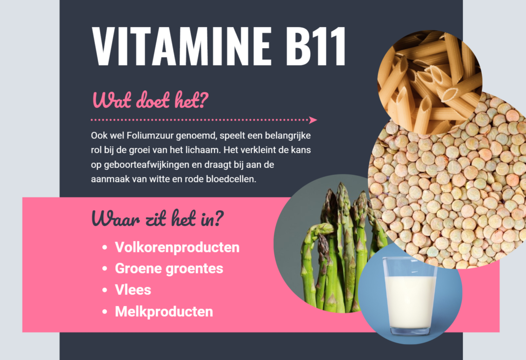 Vitamine B11 - Personal Health Plan - Foliumzuur