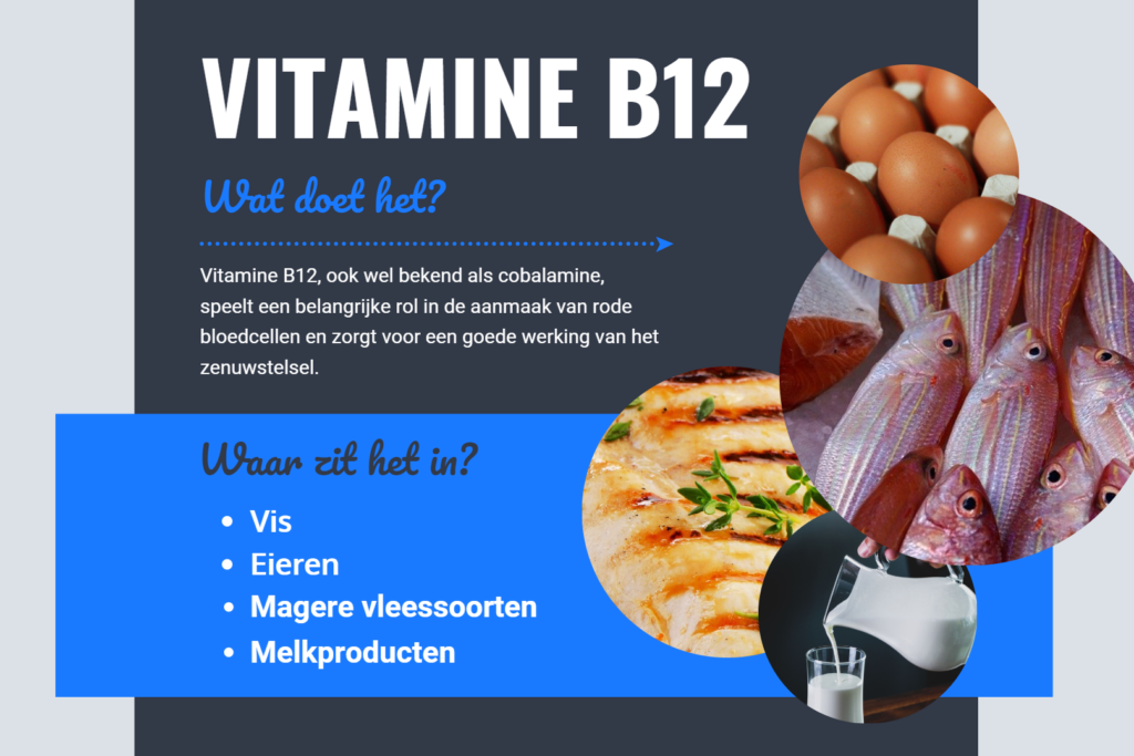 Vitamine B12 - Personal Health Plan